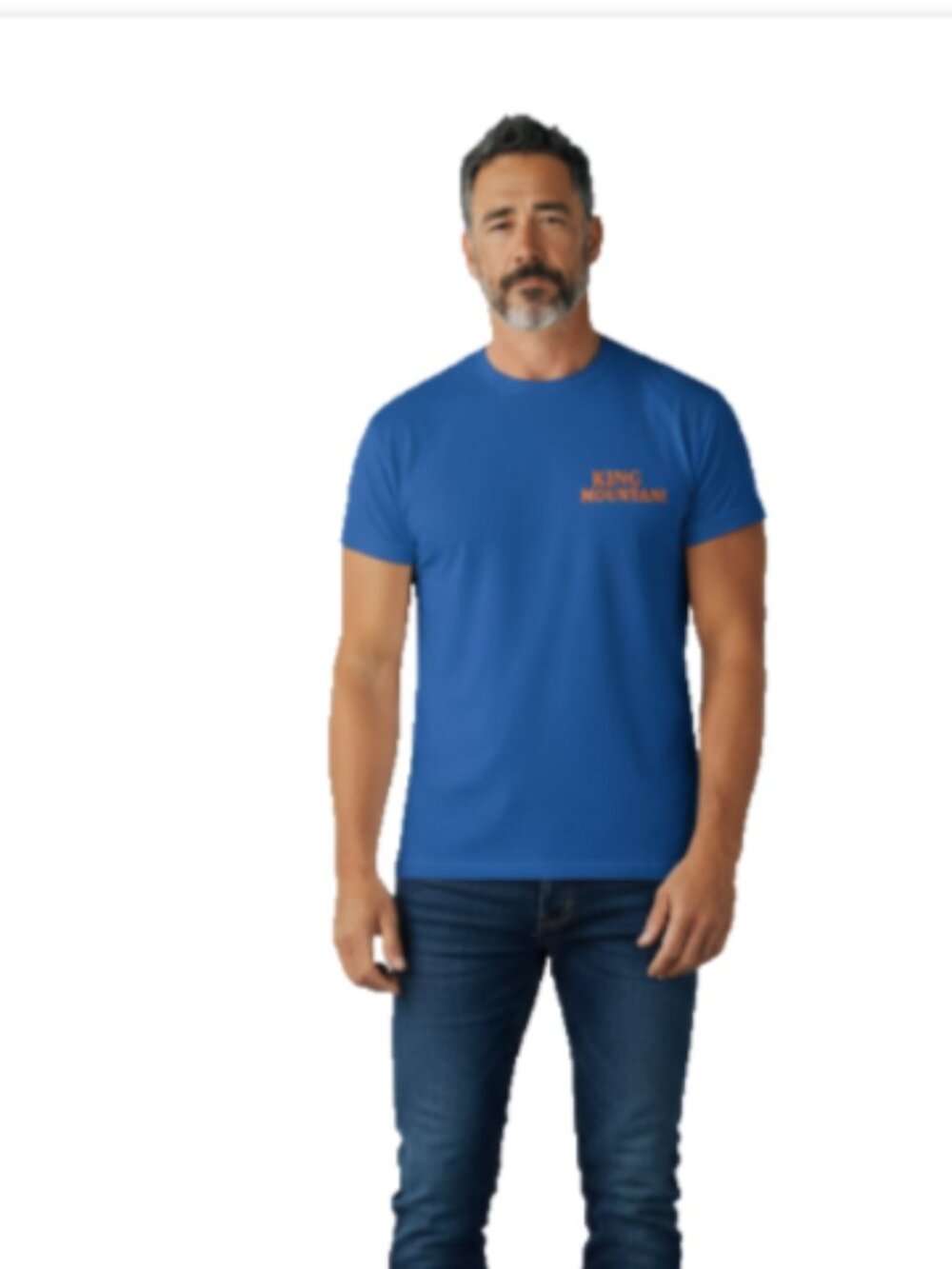 Harley-Davidson Men’s T-Shirt 3XL Blue Short Sleeve Orlando Florida NWT
